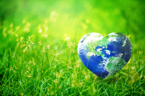 Earth in Heart shape on green grass on sunlight_ Love and Save the World for the Next Generation concept_ Earth day concept_ Elements of this image furnished by NASA